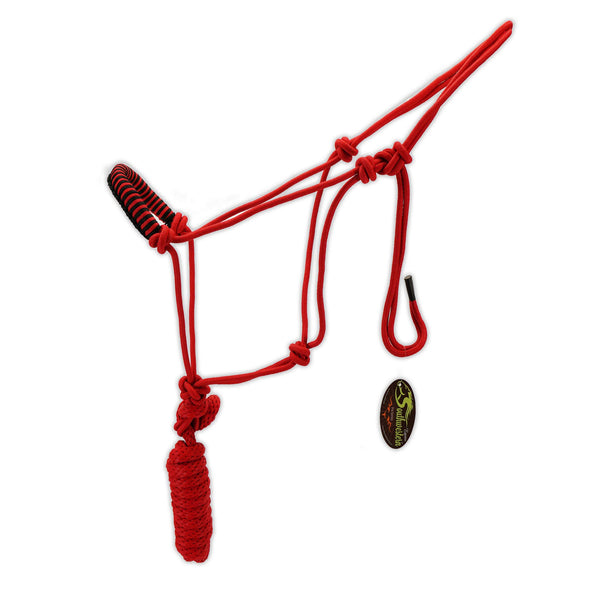 SOUTHWESTERN Rope Halter and Lead in Fun Colors with Braided Nose Band Equine