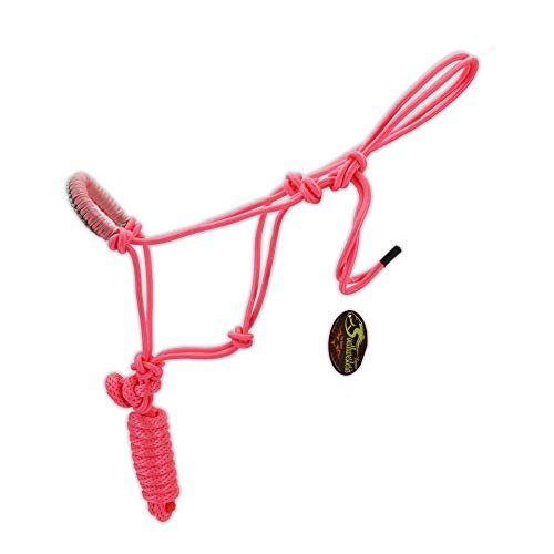 SOUTHWESTERN Rope Halter and Lead in Fun Colors with Braided Nose Band Equine