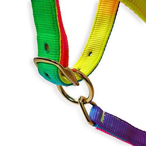Southwestern Equine Rainbow Halter and Lead Horse Size Adjustable Nose