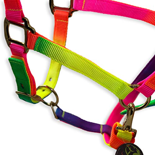 Southwestern Equine Rainbow Halter and Lead Horse Size Adjustable Nose