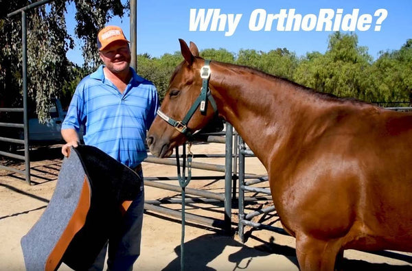 OrthoRide™ Elite - Premium All Wool Topper and Bottom - Saddle Pad