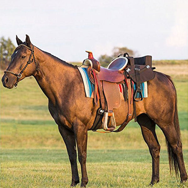 The Ride Along Buddy Seat Kid Saddle Western Saddle Attachment - SouthwesternEquineSWE-9230-D