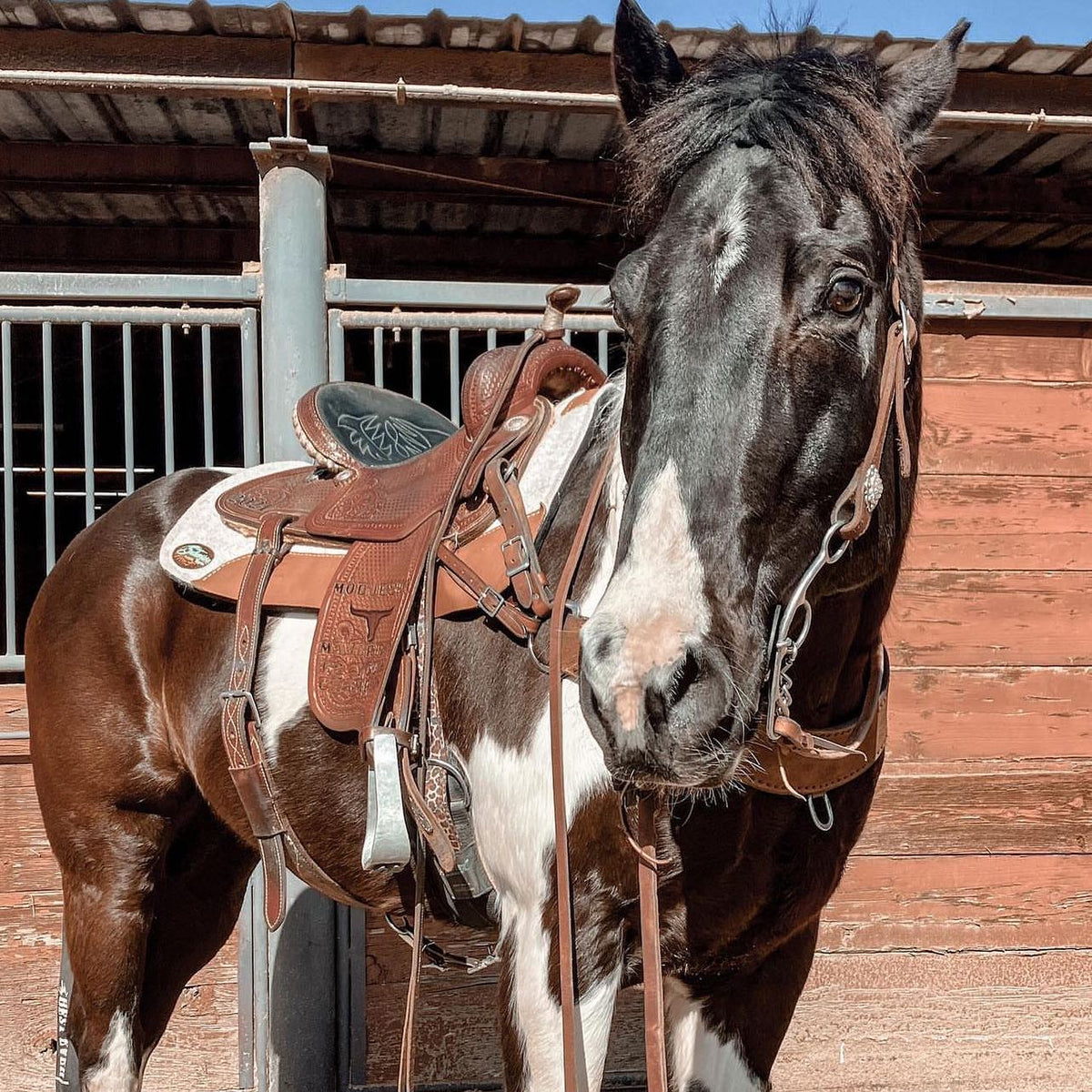 How to propperly fit a Western Horse Saddle to your horse's back. - SouthwesternEquine