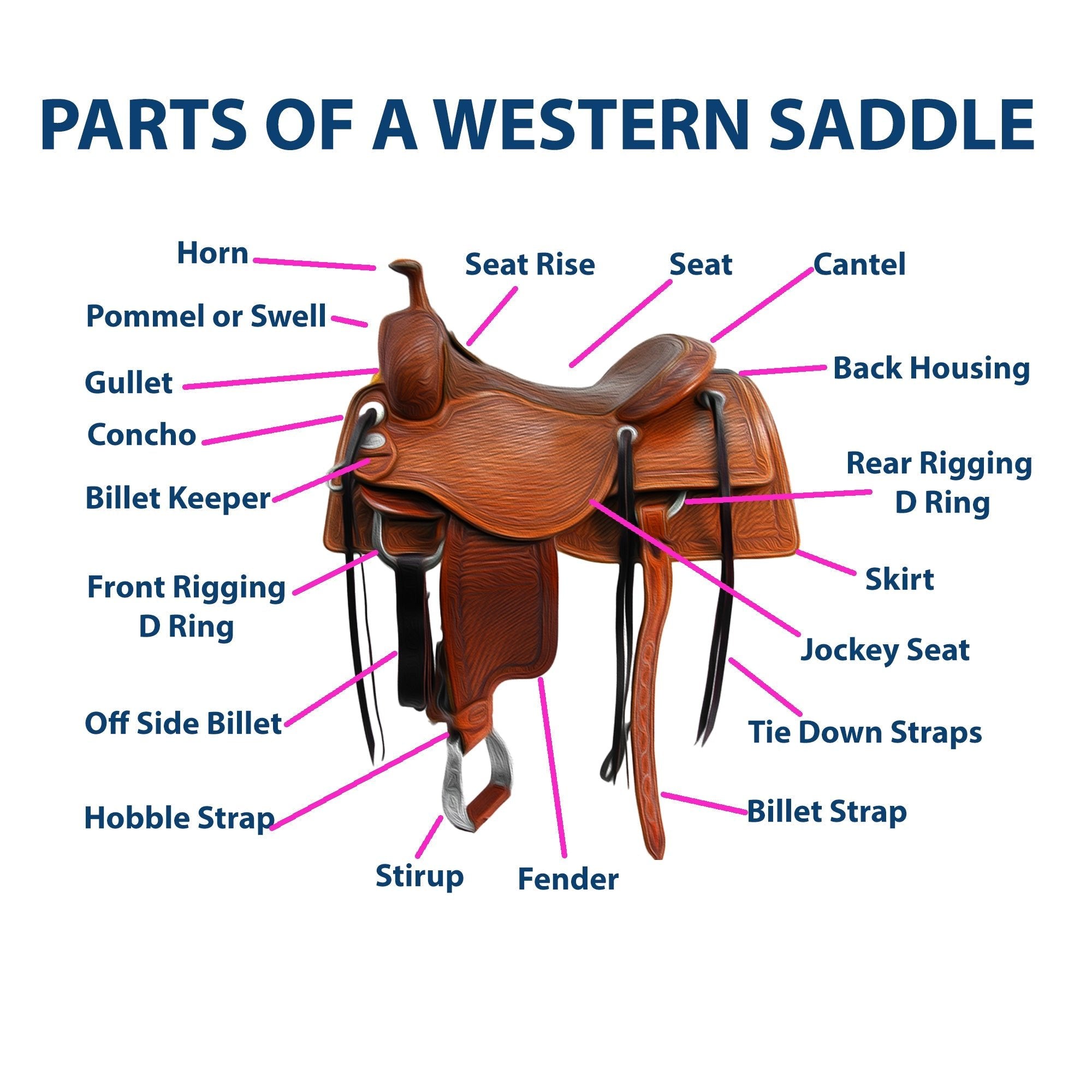 A Comprehensive Guide to the Parts of a Western Saddle