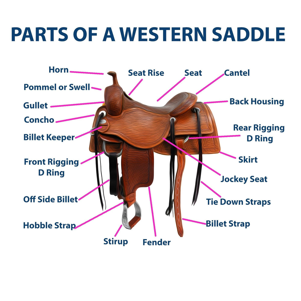 A Comprehensive Guide to the Parts of a Western Saddle - SouthwesternEquine