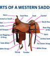 A Comprehensive Guide to the Parts of a Western Saddle