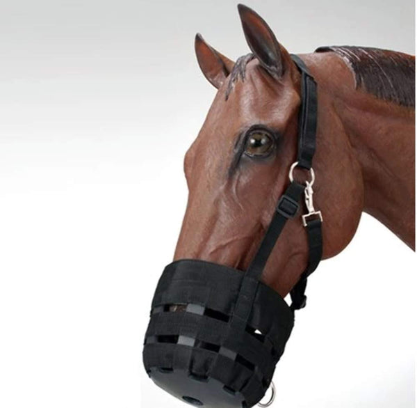 Nylon Grazing Muzzle with Adjustable Halter, Horse Size