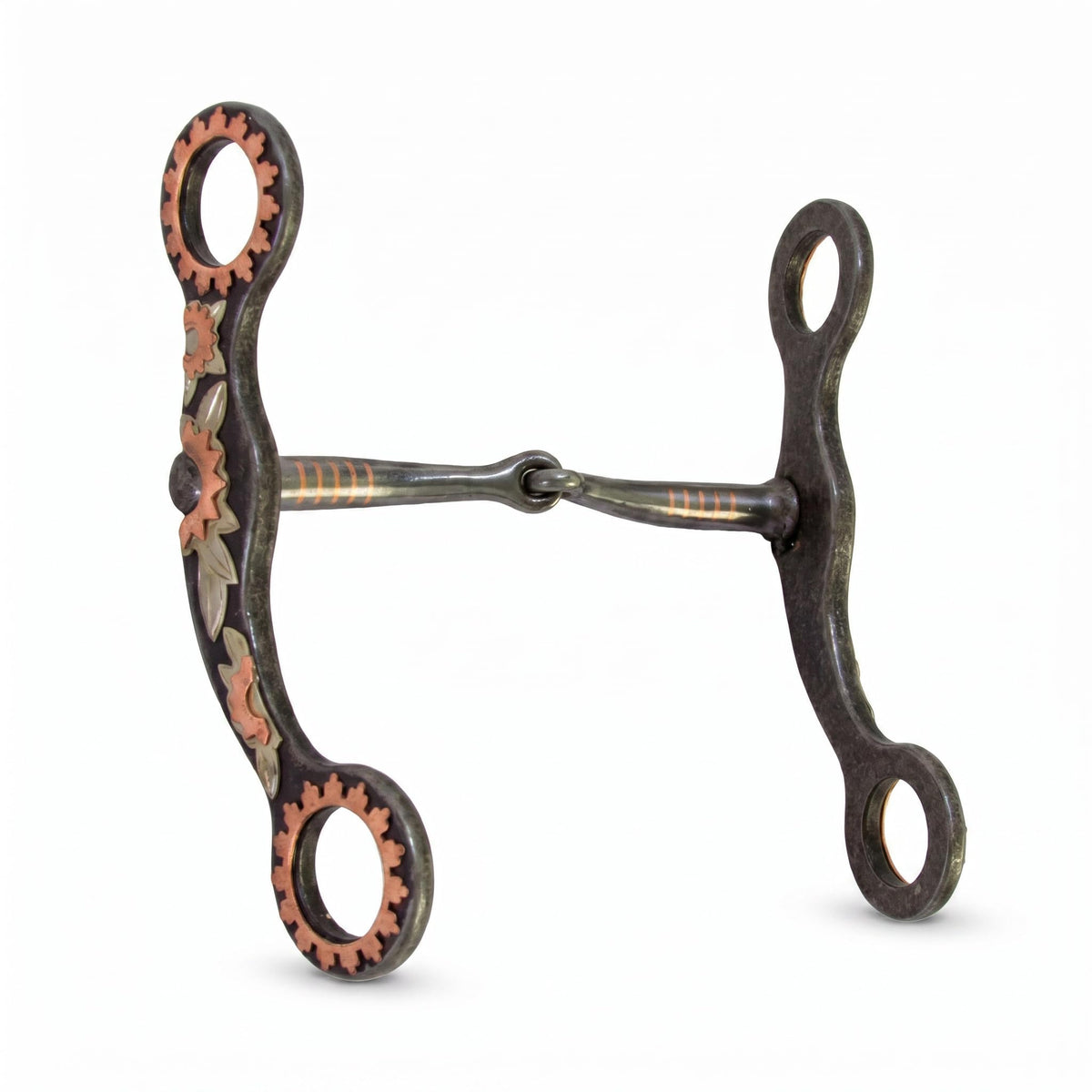 Professional Show Bit, 5-inch Cheeks - SouthwesternEquineSWE-177511SN