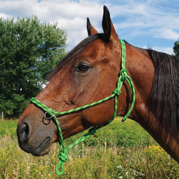 Southwestern Equine Side Pull Rope Halters with Nickle Plated Rings