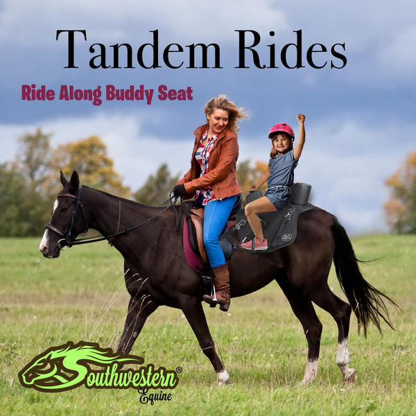 The Ride Along Buddy Seat Kid Saddle Western Saddle Attachment