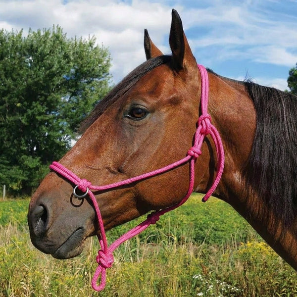Southwestern Equine Side Pull Rope Halters with Nickle Plated Rings - SouthwesternEquineSWE-194057BK