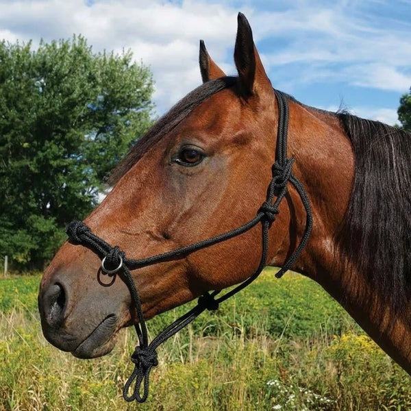 Southwestern Equine Side Pull Rope Halters with Nickle Plated Rings - SouthwesternEquineSWE-194057BK