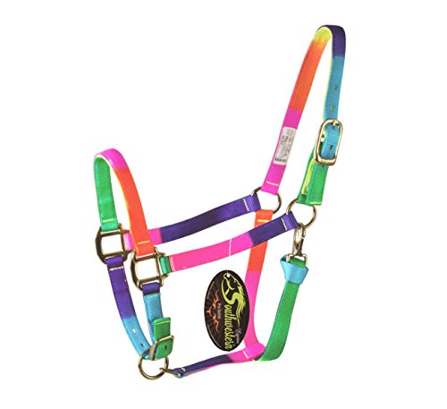 Southwestern Equine Rainbow Halter and Lead Horse Size Adjustable