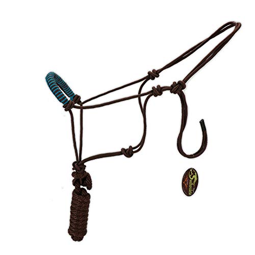 SOUTHWESTERN Rope Halter and Lead in Fun Colors with Braided Nose Band Equine